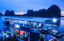 Discova Day Tours and Activities7
