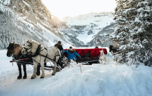 Wild Northern Journey3