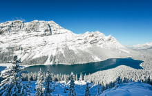 Wild Northern Journey4