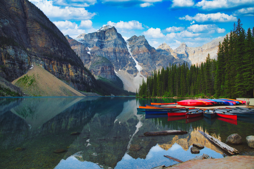 Wild Northern Journey