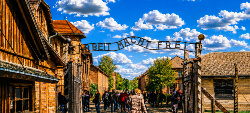 Auschwitz - Birkenau Group Tour from Krakow with Private Transfer