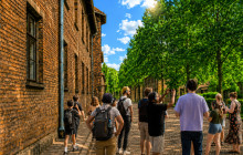 Krakow Direct Tours10