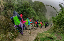 Alpaca Expeditions2