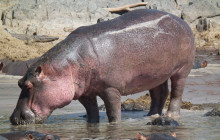 Jossec Tours and Safaris6