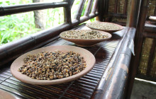 Bali Yowana Tour10