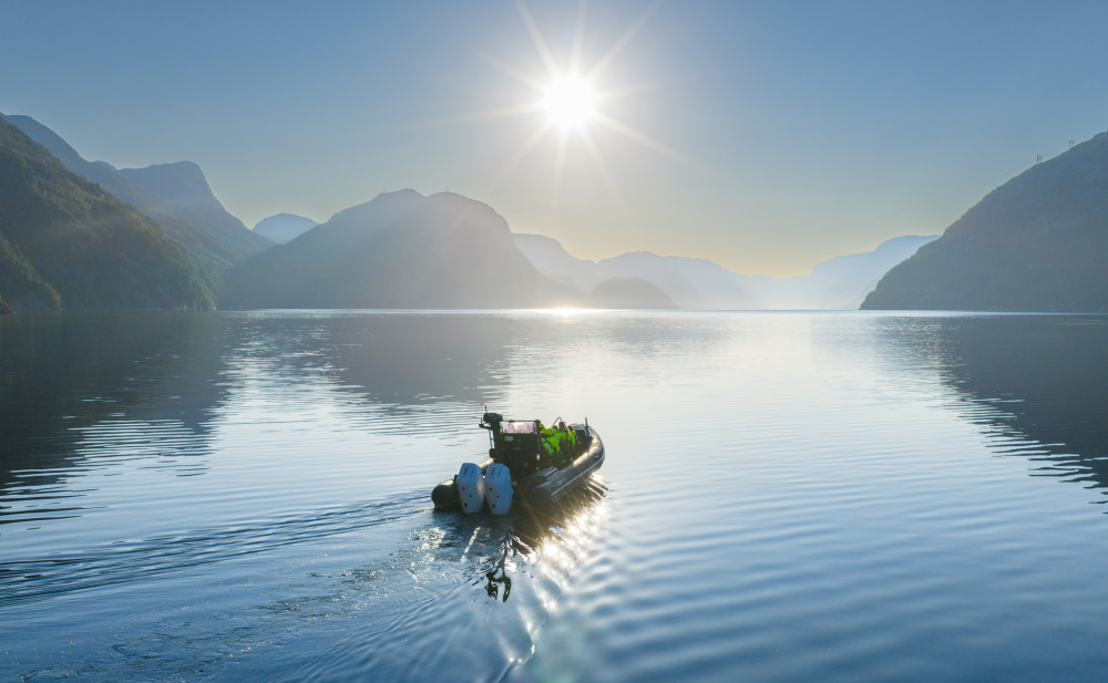 Lysefjord Safari by RIB