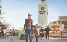 Starline Tours of Hollywood10