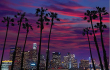 Starline Tours of Hollywood11