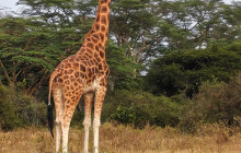 Jossec Tours and Safaris4