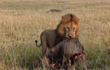 Jossec Tours and Safaris5