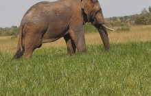 Jossec Tours and Safaris6