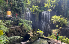Bali Yowana Tour7