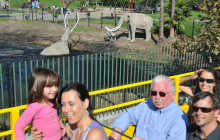 Starline Tours of Hollywood16