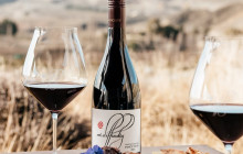 Appellation Wine Tours8