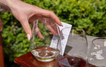 Appellation Wine Tours13