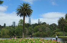 Local Way Tours9