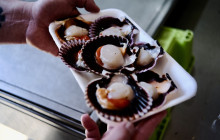 Secret Food Tours - Europe15