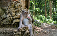 Bali Yowana Tour11
