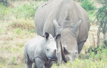 Jossec Tours and Safaris2