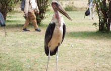 Jossec Tours and Safaris3