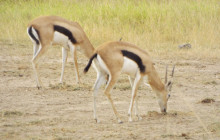 Jossec Tours and Safaris4