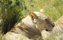 Jossec Tours and Safaris5