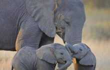 Jossec Tours and Safaris8
