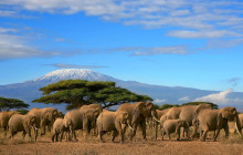 Jossec Tours and Safaris9