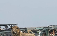 Jossec Tours and Safaris11
