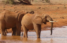 Jossec Tours and Safaris13