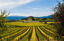 Beau Wine Tours20