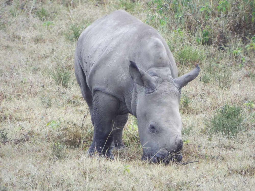 Jossec Tours and Safaris