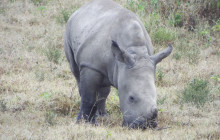 Jossec Tours and Safaris4