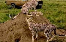 Jossec Tours and Safaris8