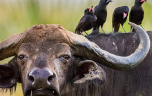 Jossec Tours and Safaris9