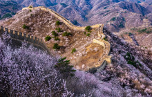 Wikibeijing Private Tour20
