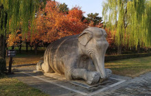 Wikibeijing Private Tour7