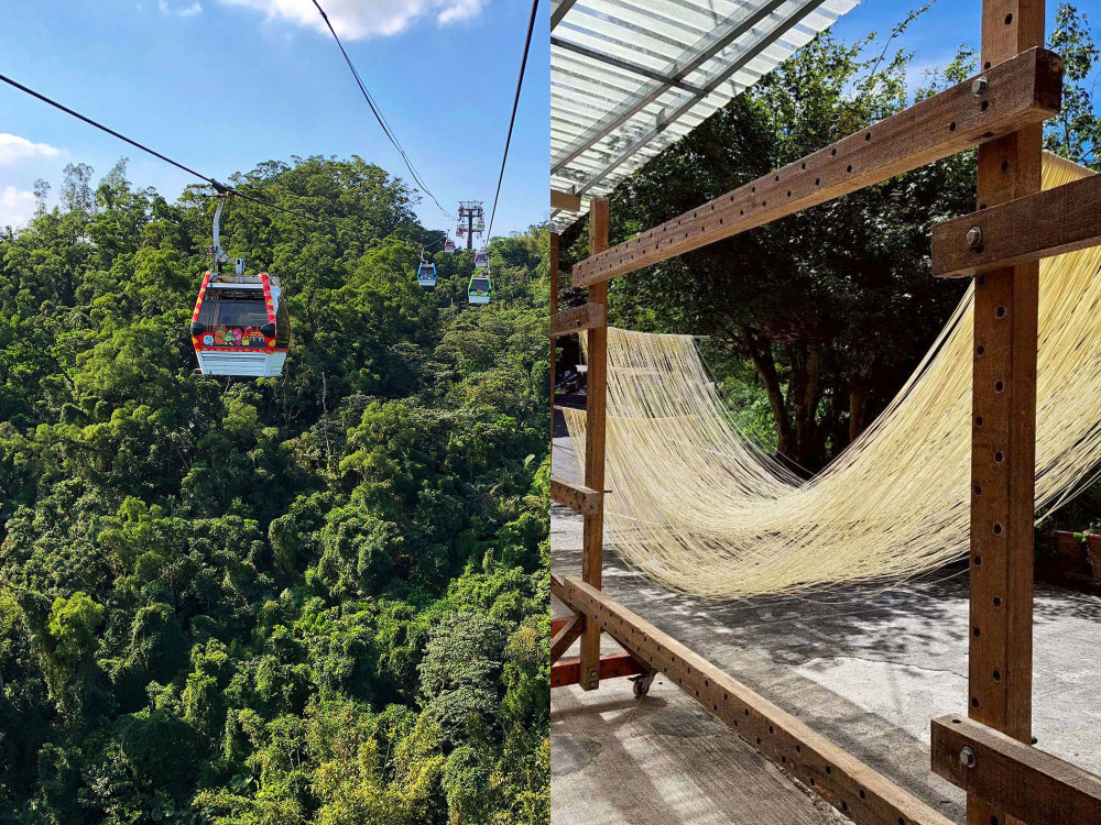 Private Maokong Gondola & Shiding Handmade Noodle DIY Tour