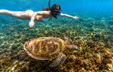 Bali Yowana Tour16