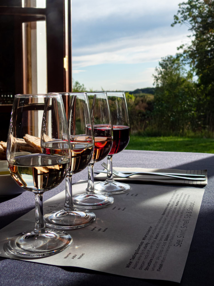 Colli Bolognesi Wine Tour