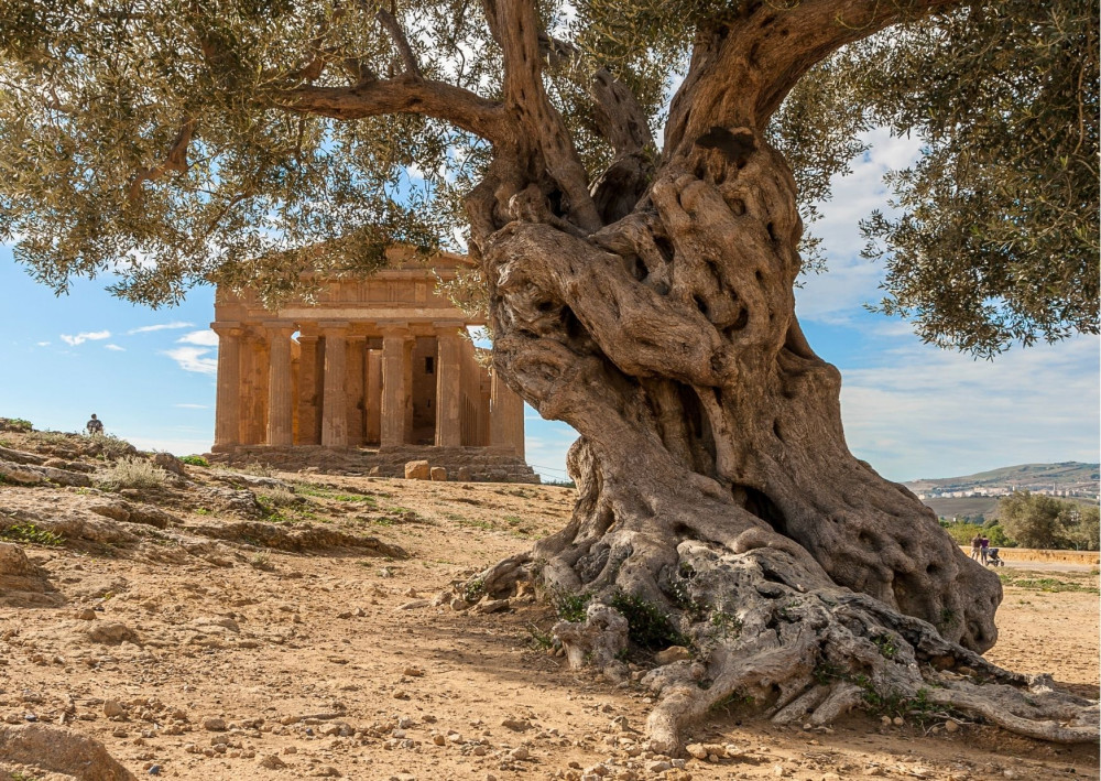 The Sicilian Thread: An 8-Day Journey Through History & Culture