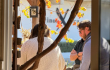 The Wine Route3