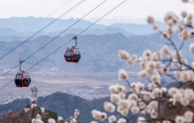Wikibeijing Private Tour9