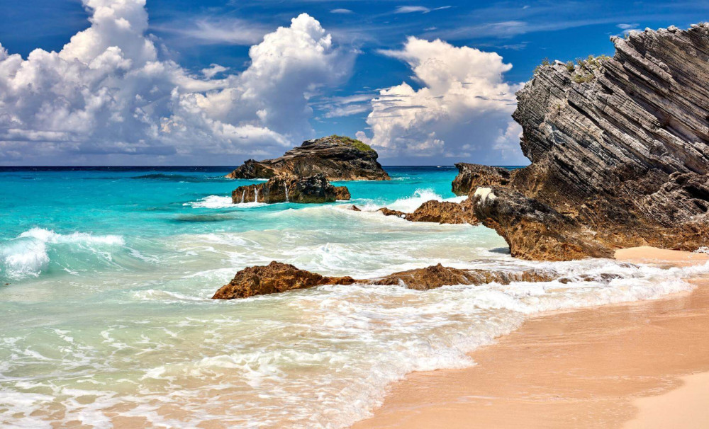 See Bermuda Ltd