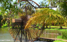 Saigon Private Tour Guide9