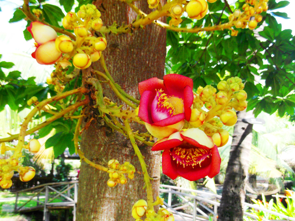 Saigon Private Tour Guide