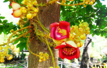 Saigon Private Tour Guide15