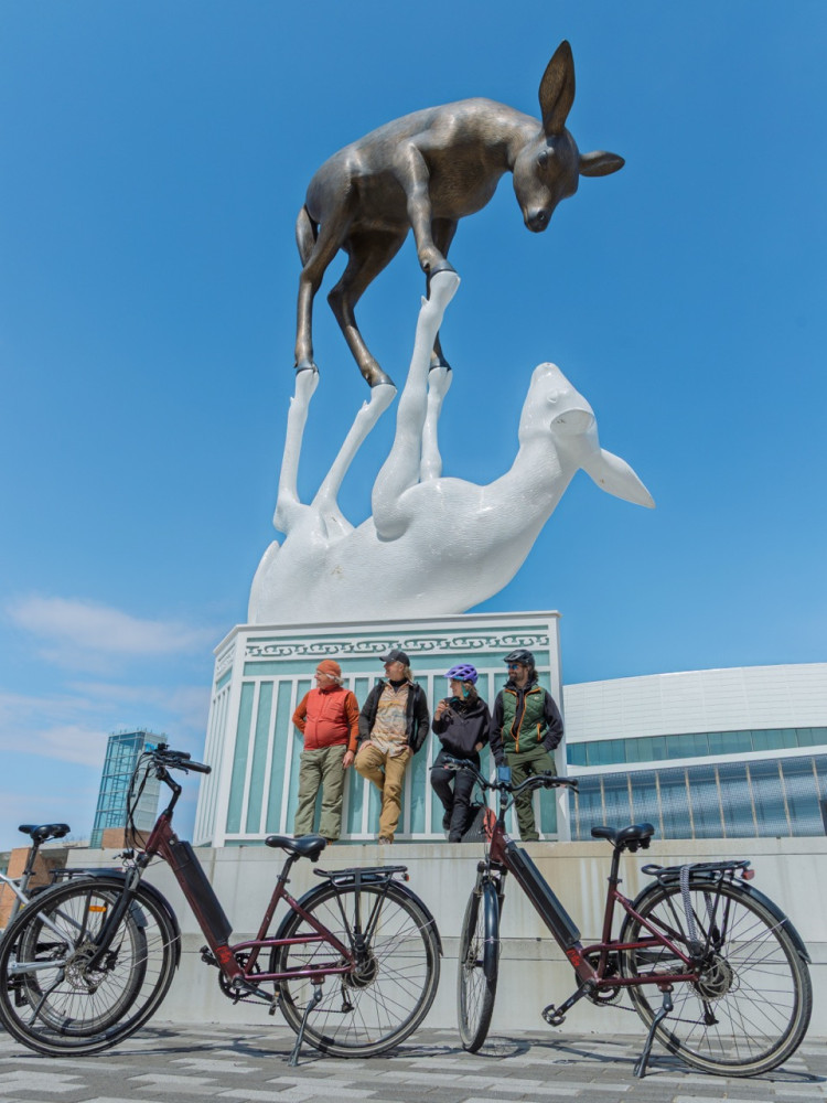 E-bike Tour to Le Grand Marché – Local Life & Food Scene