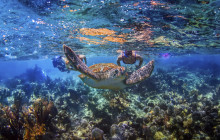 Cancun Adventures3