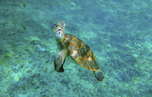 Cancun Adventures8
